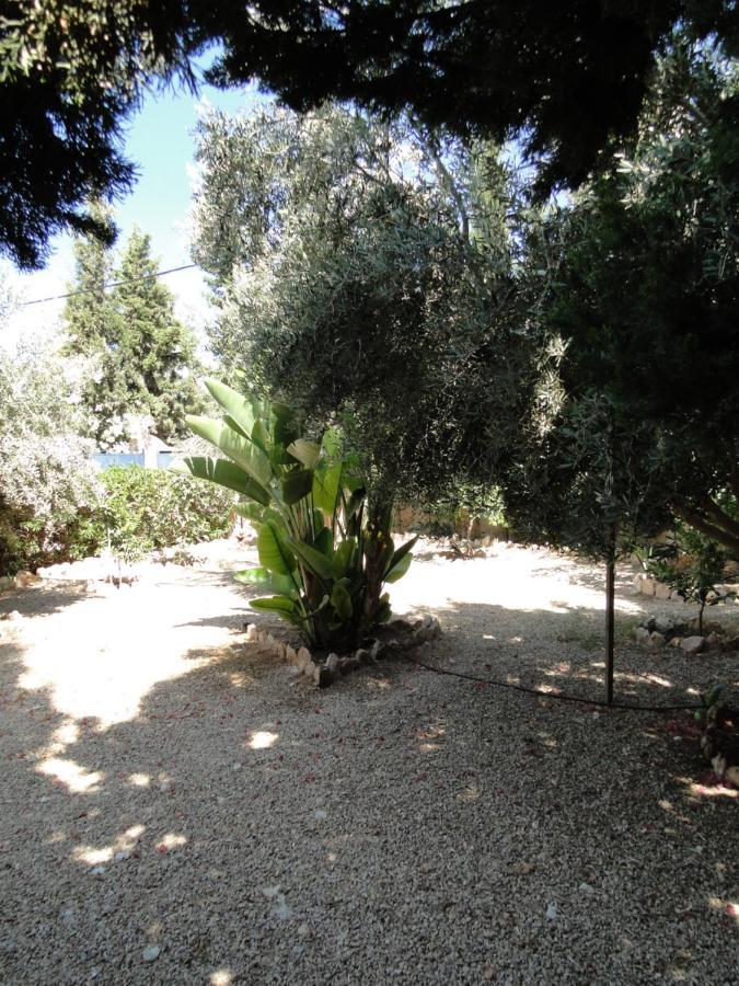 Maison Calme Et Reposante As-Sawíra Exteriér fotografie